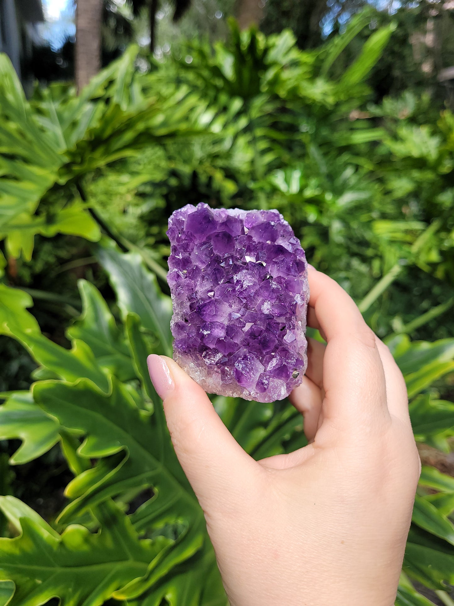 Amethyst Cut Base in Basalt Wall