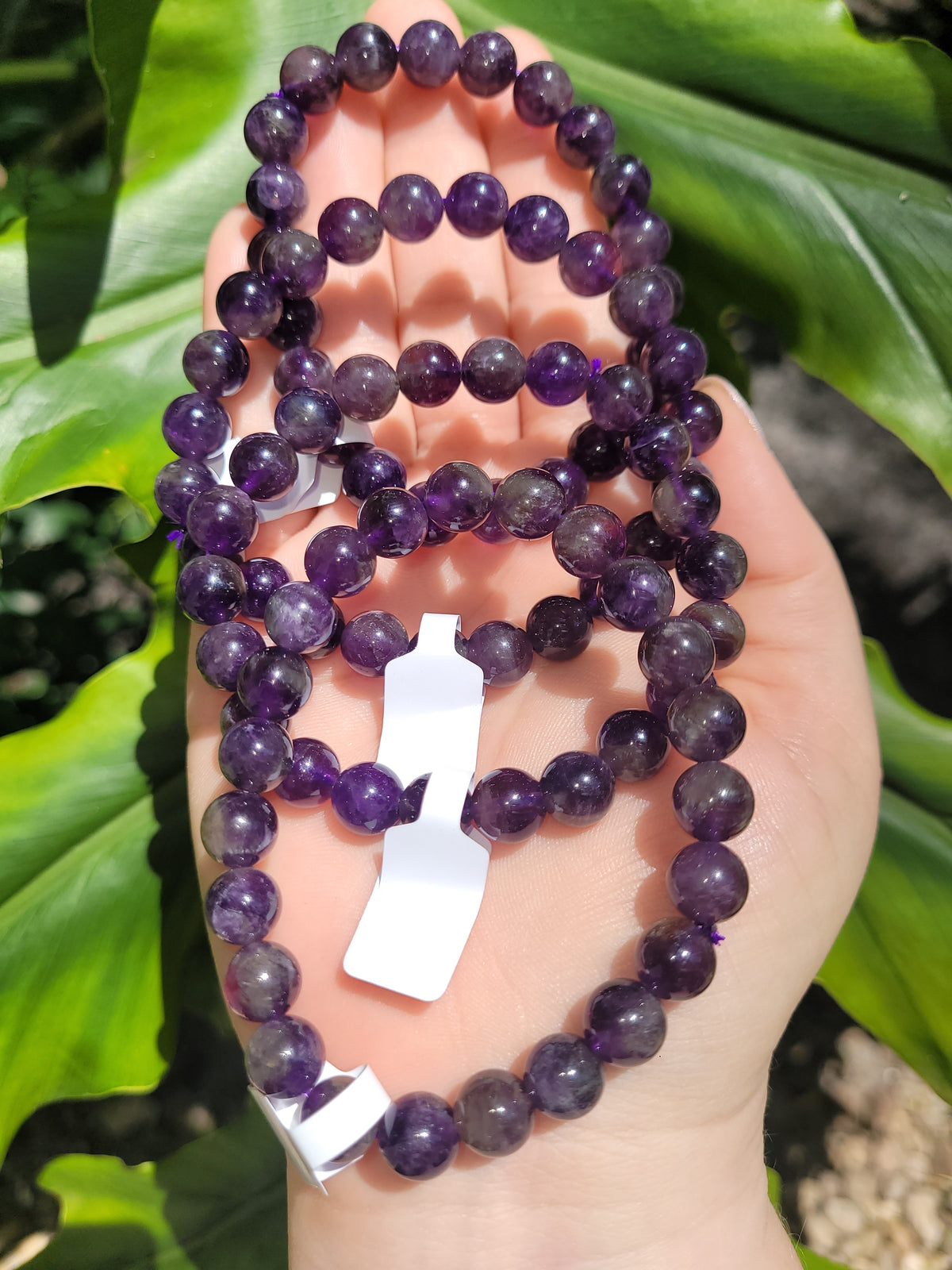 Grape Amethyst Beaded Bracelet • 8mm