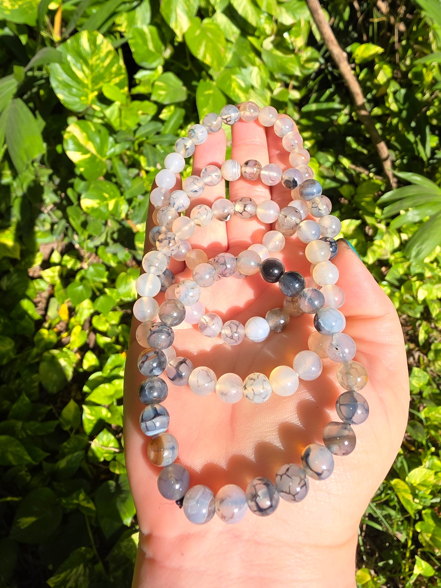 Dragon’s Vein Agate • Beaded Bracelet • 8mm