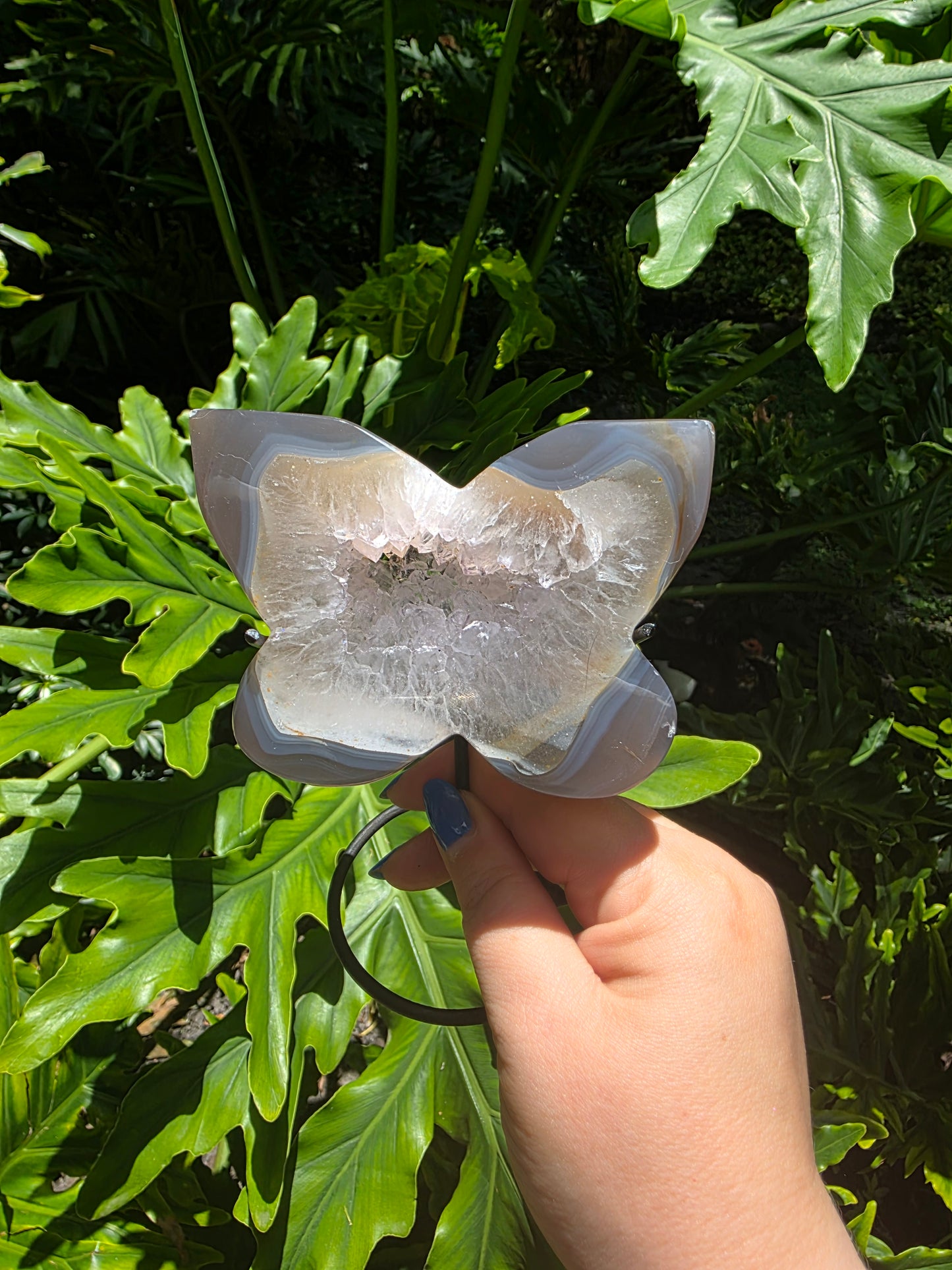 Whisperwing - Agate Butterfly