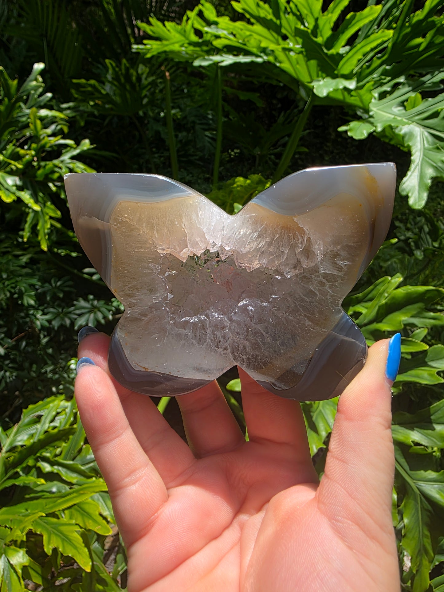 Whisperwing - Agate Butterfly