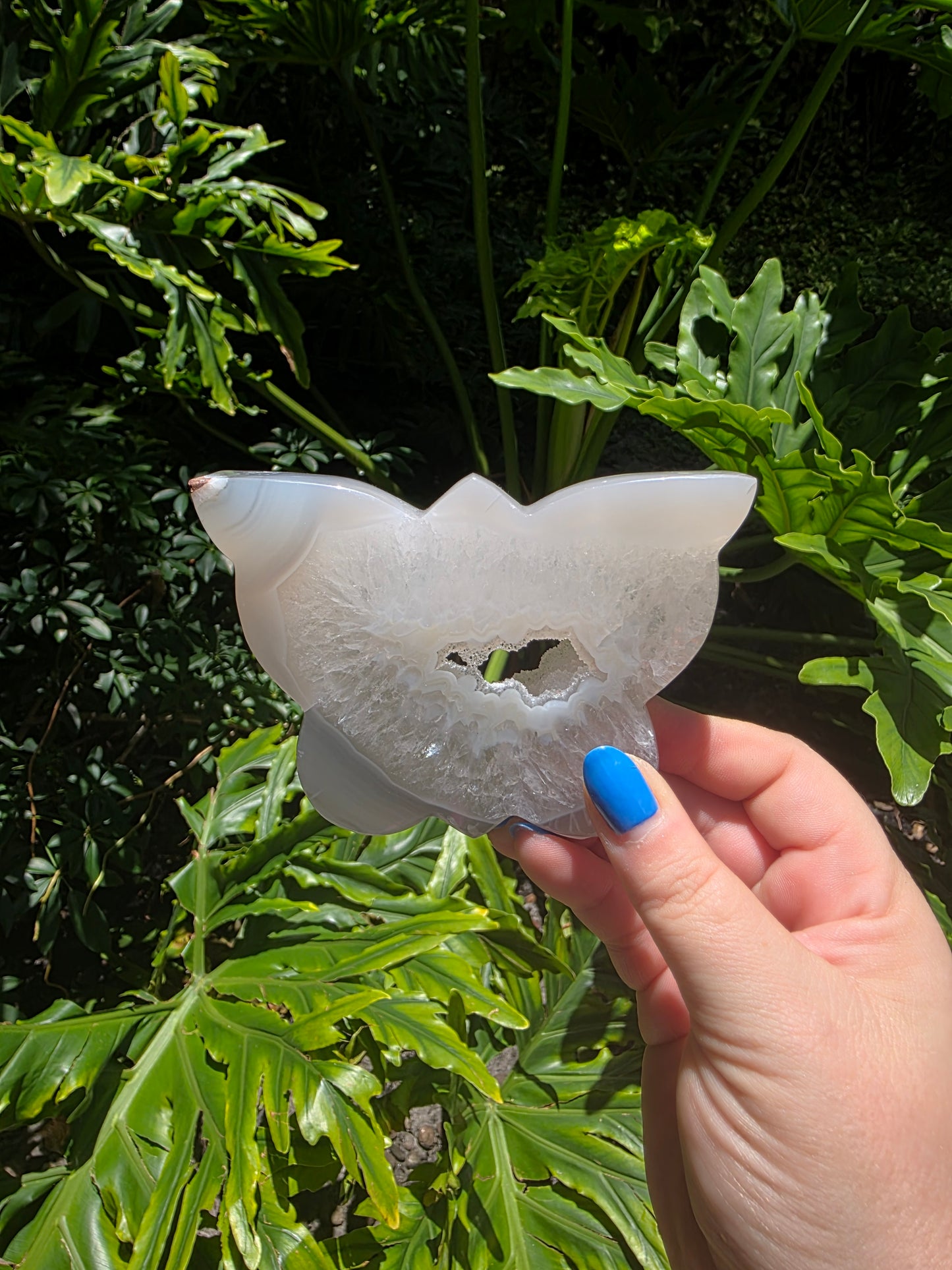 Crystal Wings- Agate Butterfly