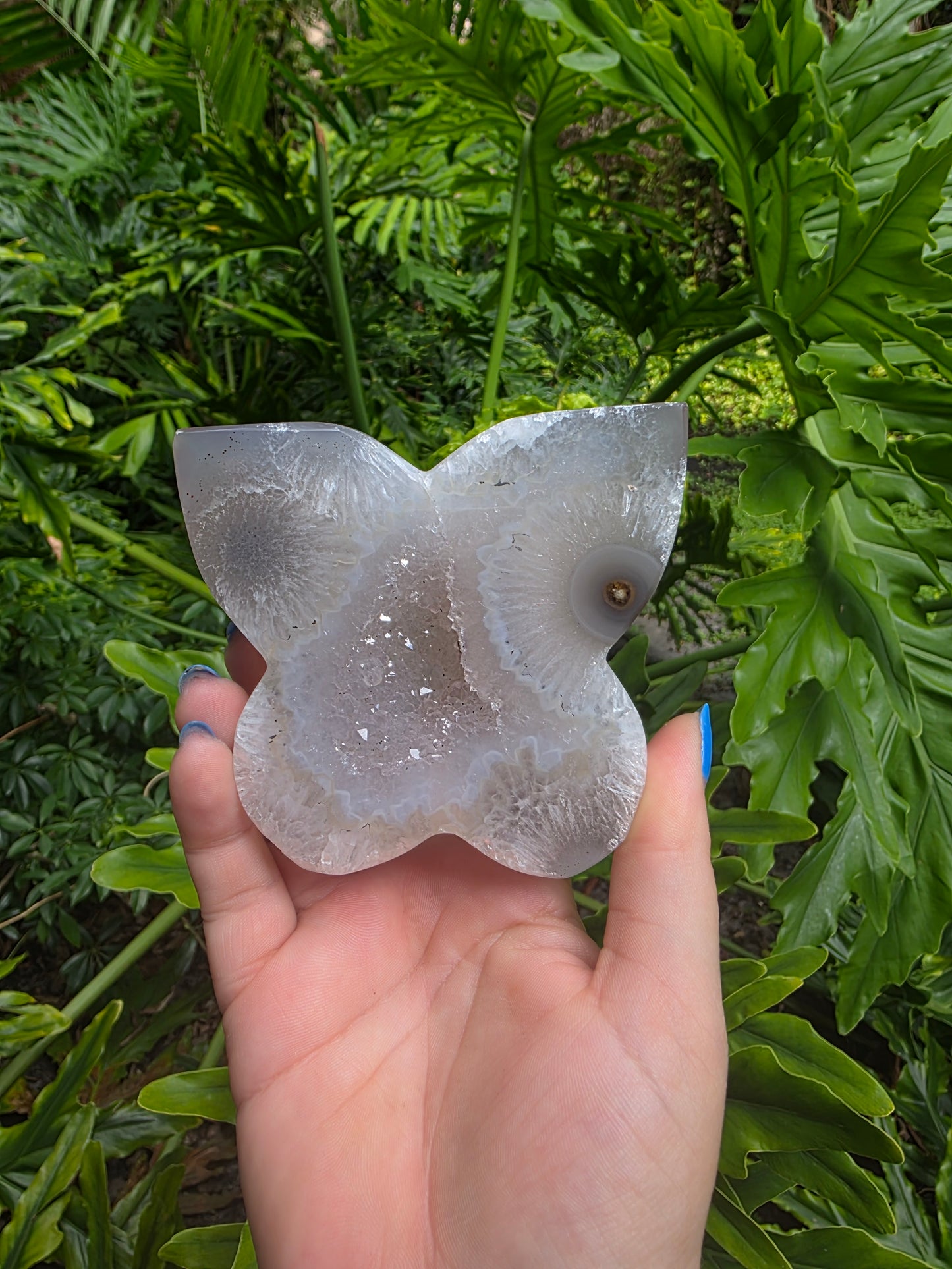 Starlight Bloom - Agate Butterfly