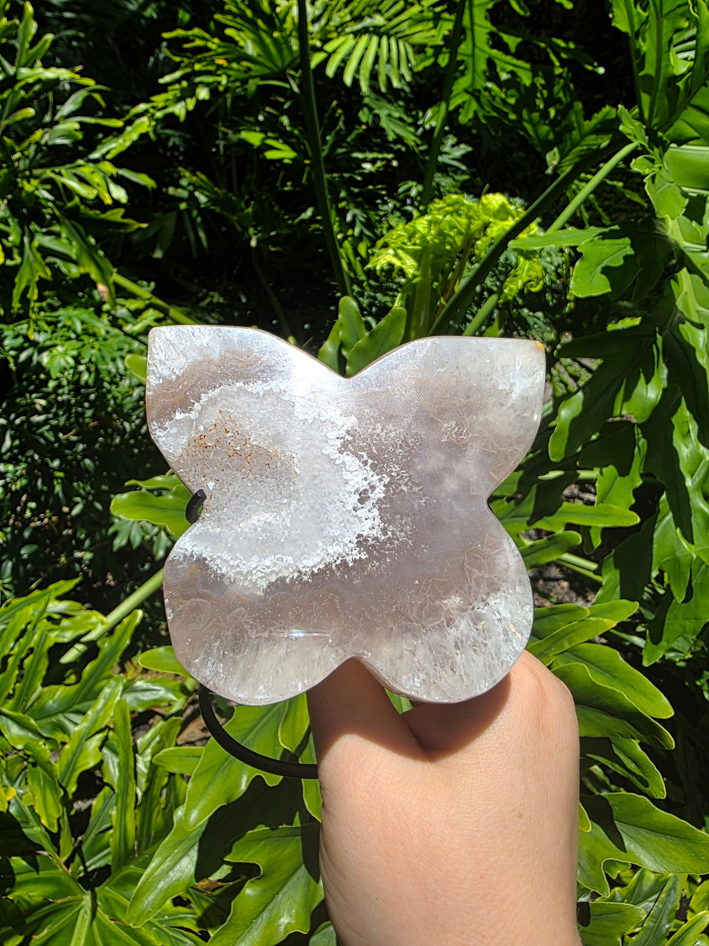 Garden Ember - Agate Butterfly