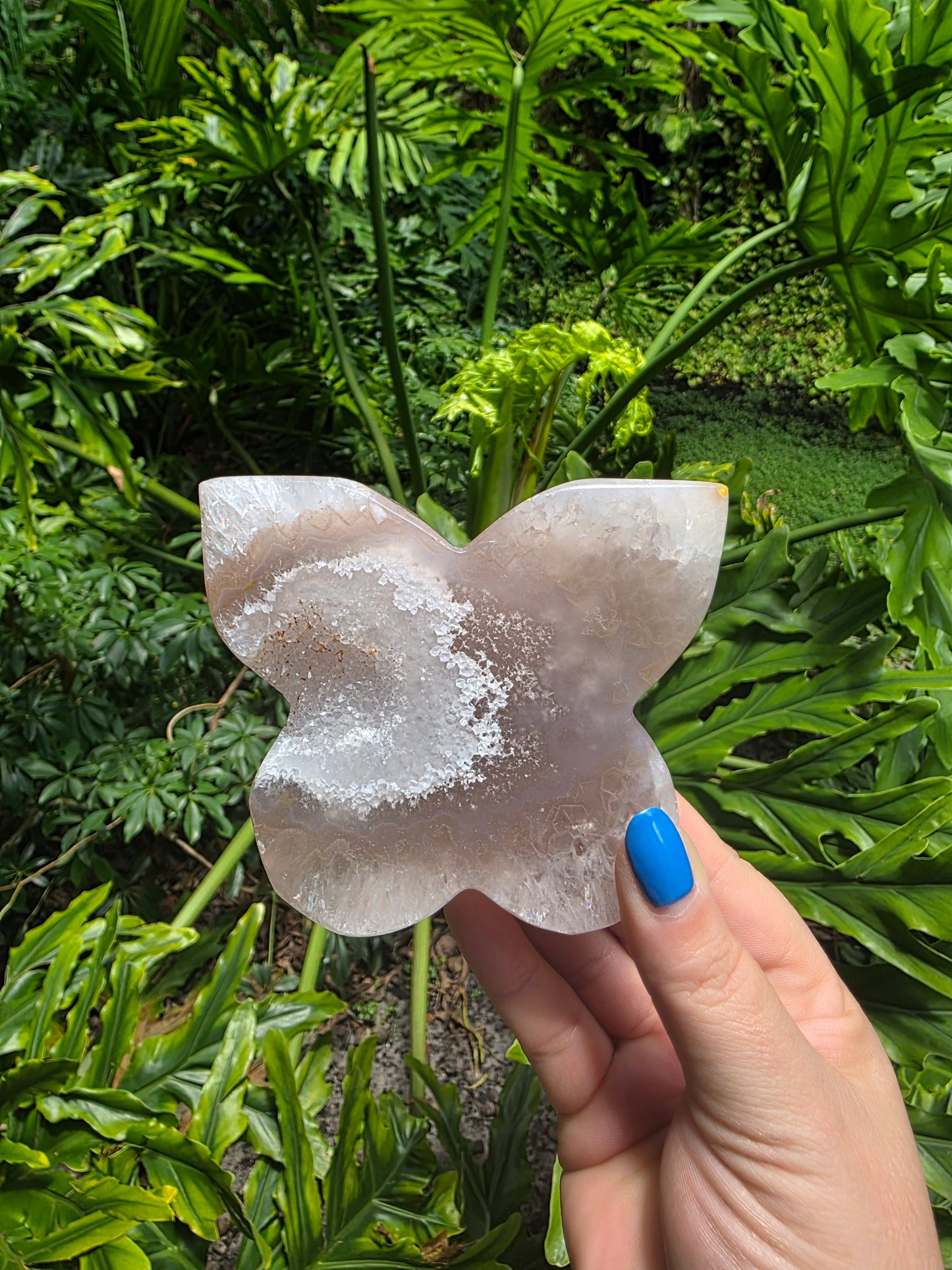 Garden Ember - Agate Butterfly