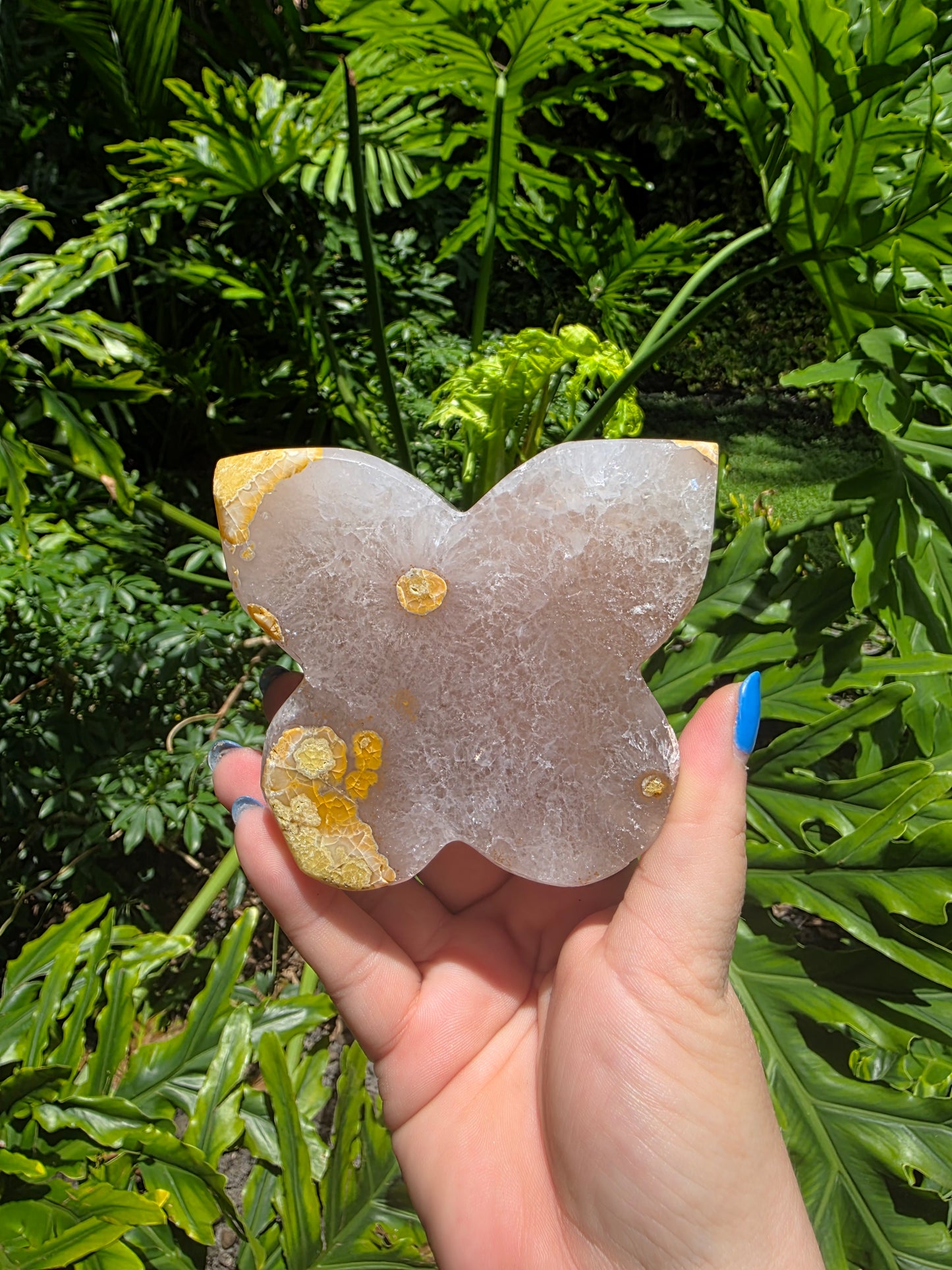 Garden Ember - Agate Butterfly