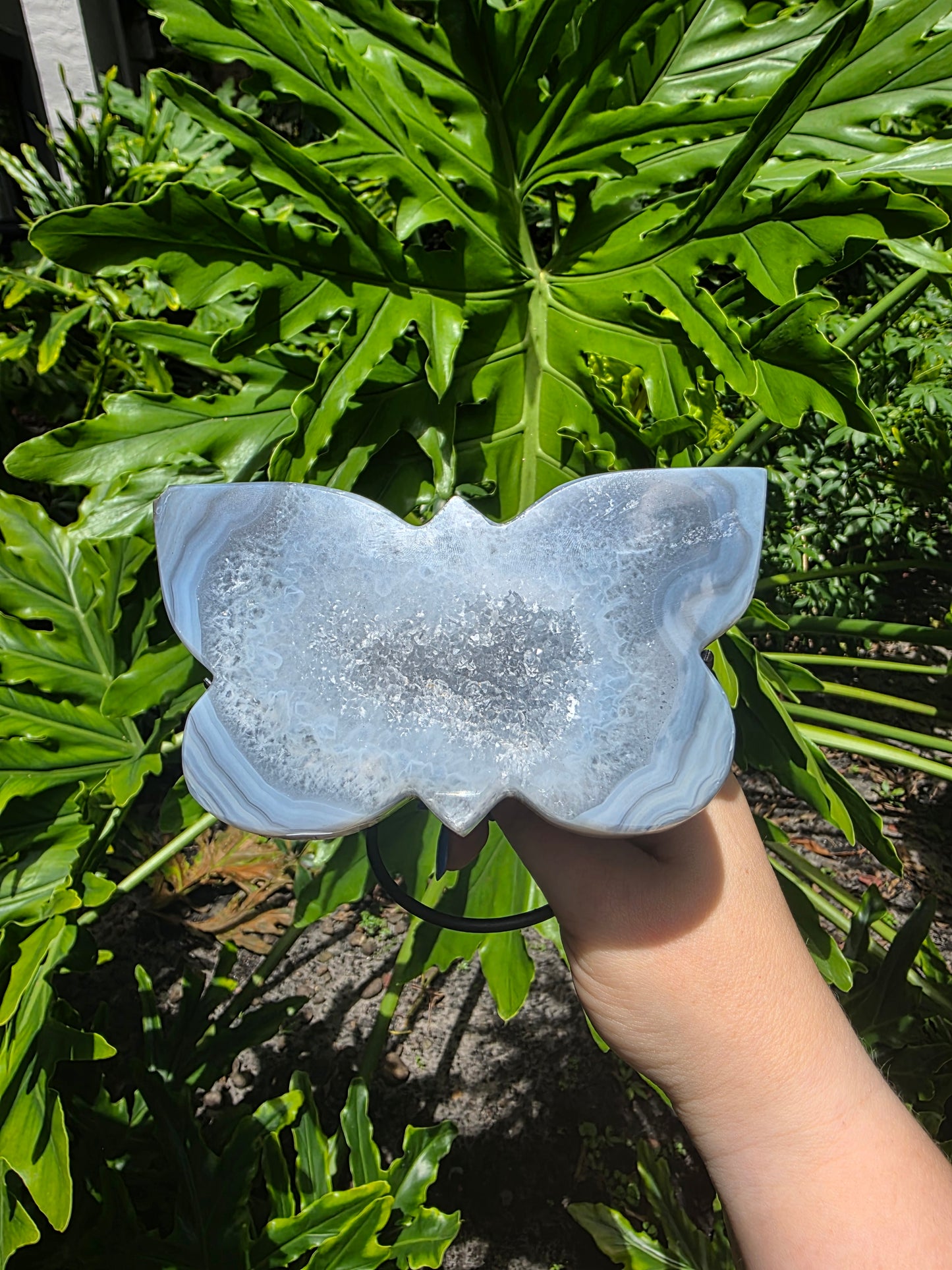 Silver Mistwing - Agate Butterfly