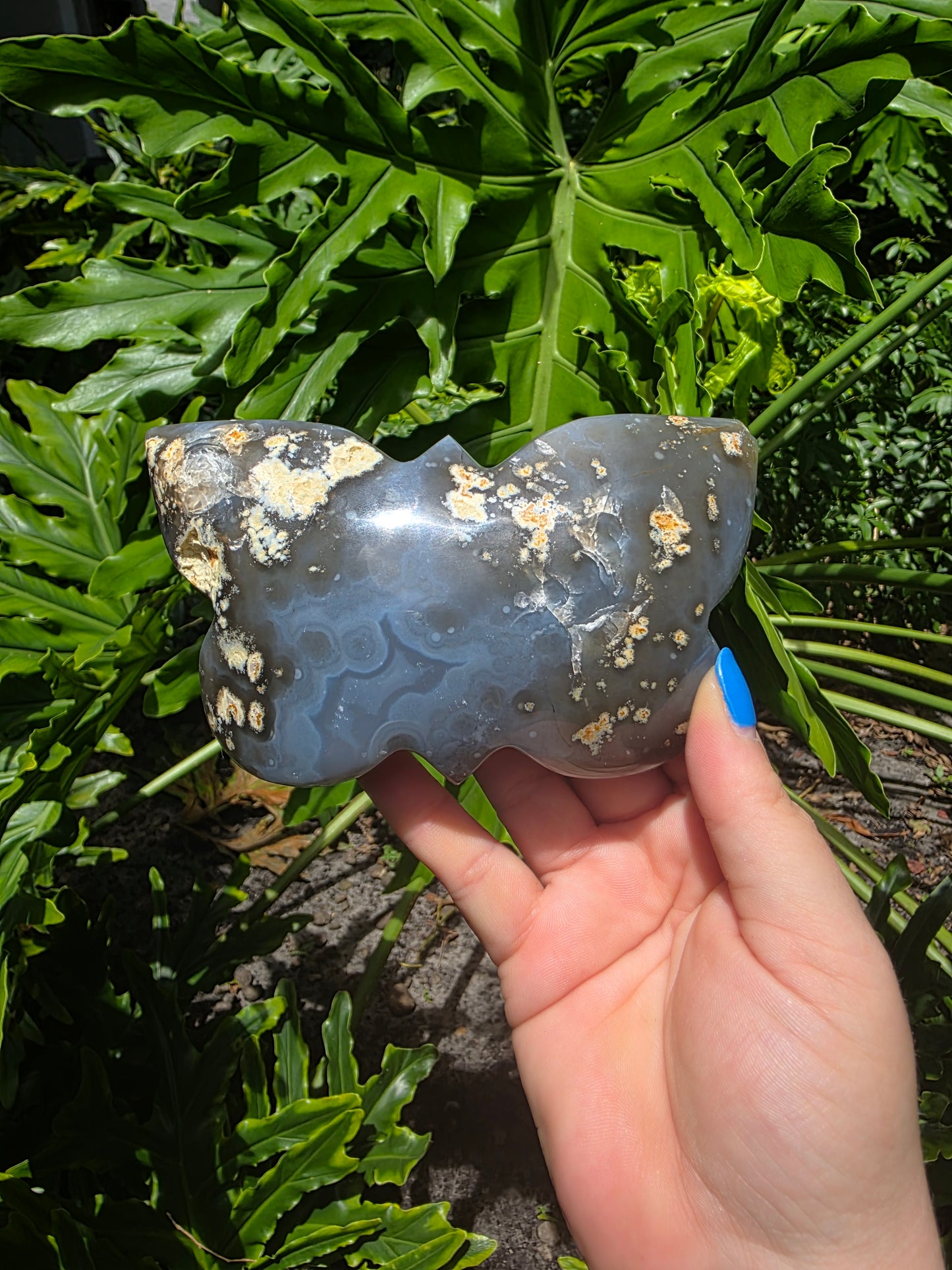Silver Mistwing - Agate Butterfly