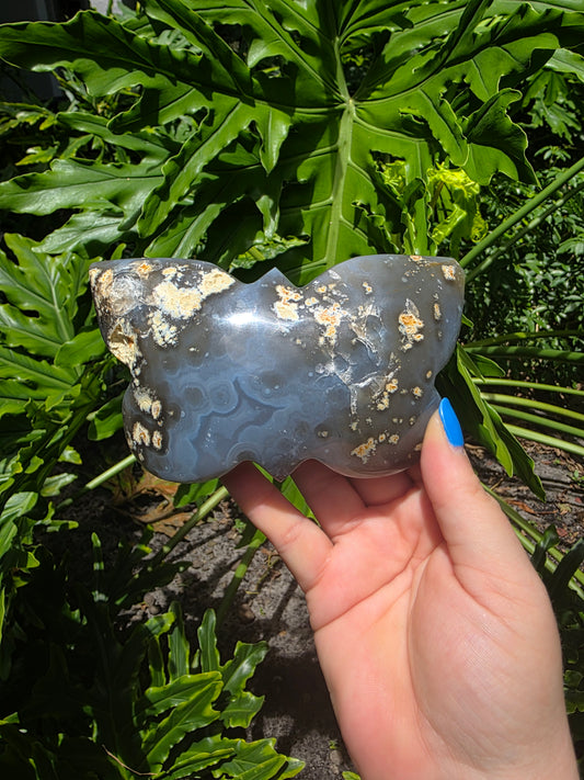 Agate Butterfly • Option B • Brazil