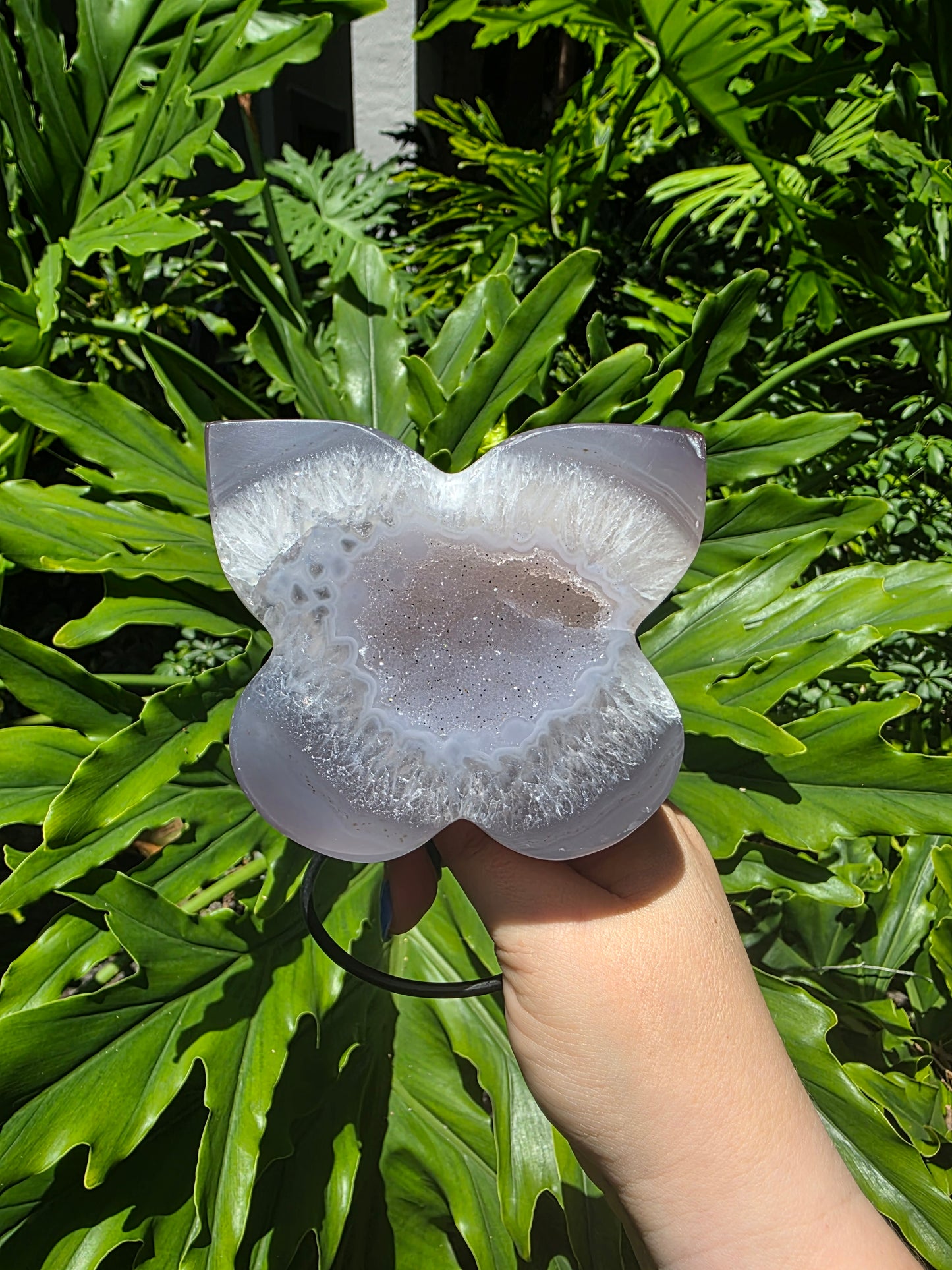 Wisteria Drift - Agate Butterfly