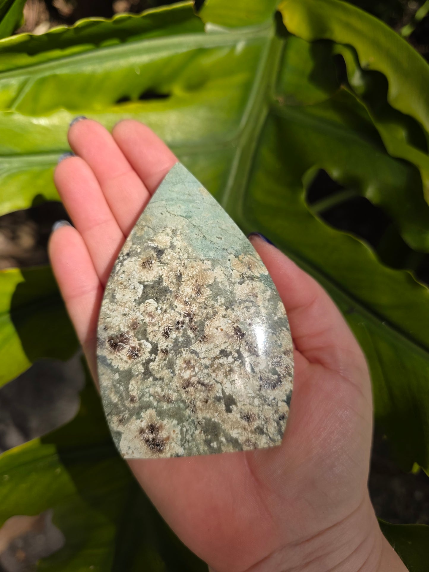 Sakura Jasper Flame • Option B