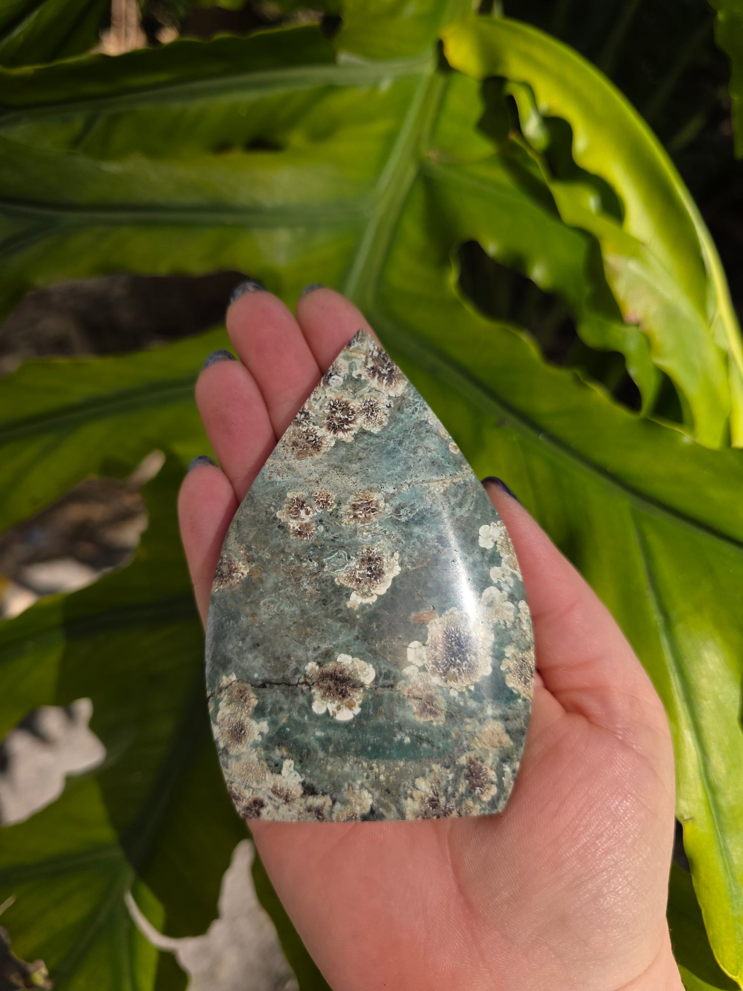 Sakura Jasper Flame • Option C