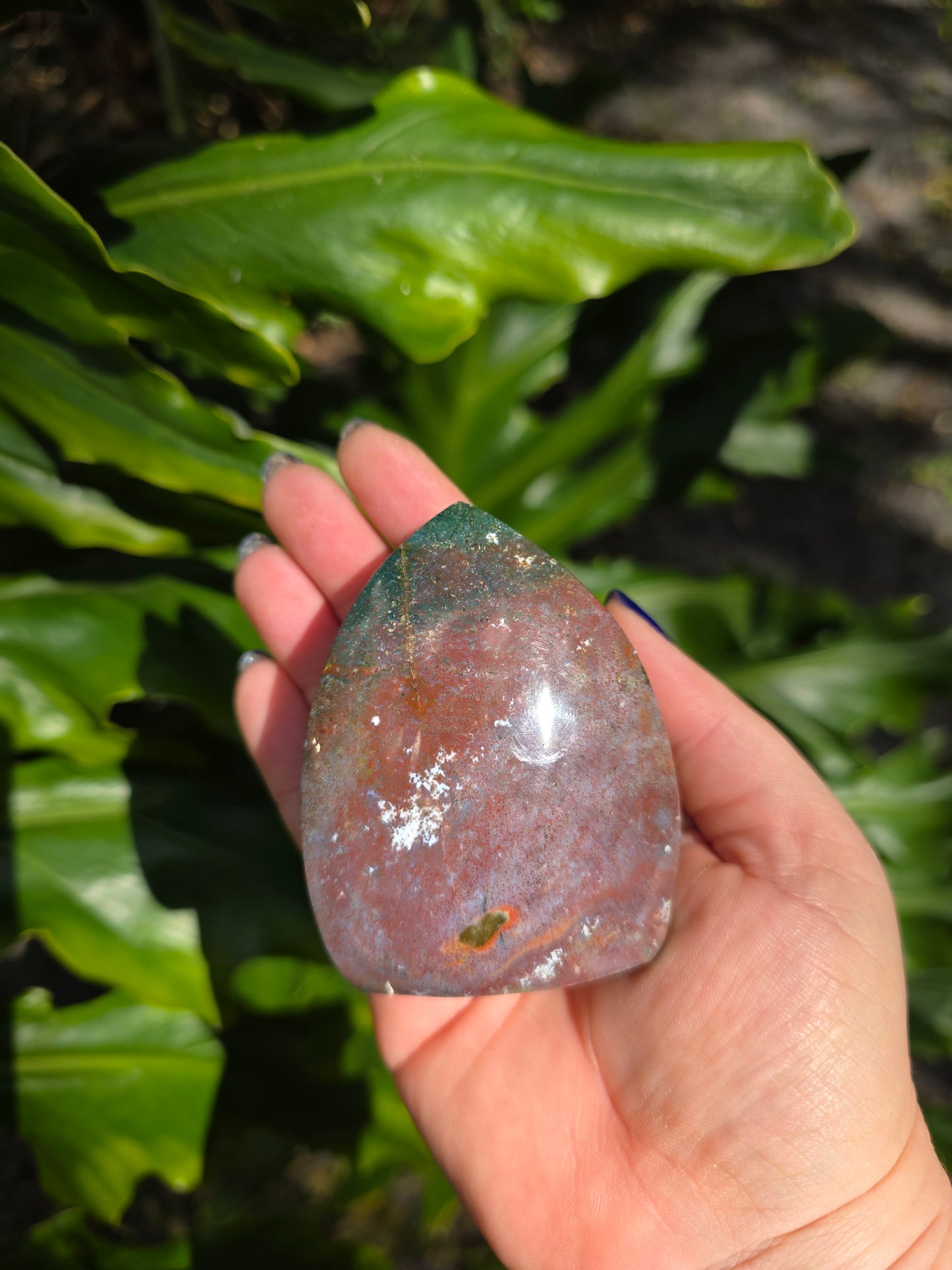 Veinless Ocean Jasper Teardrop • Option A • Madagascar