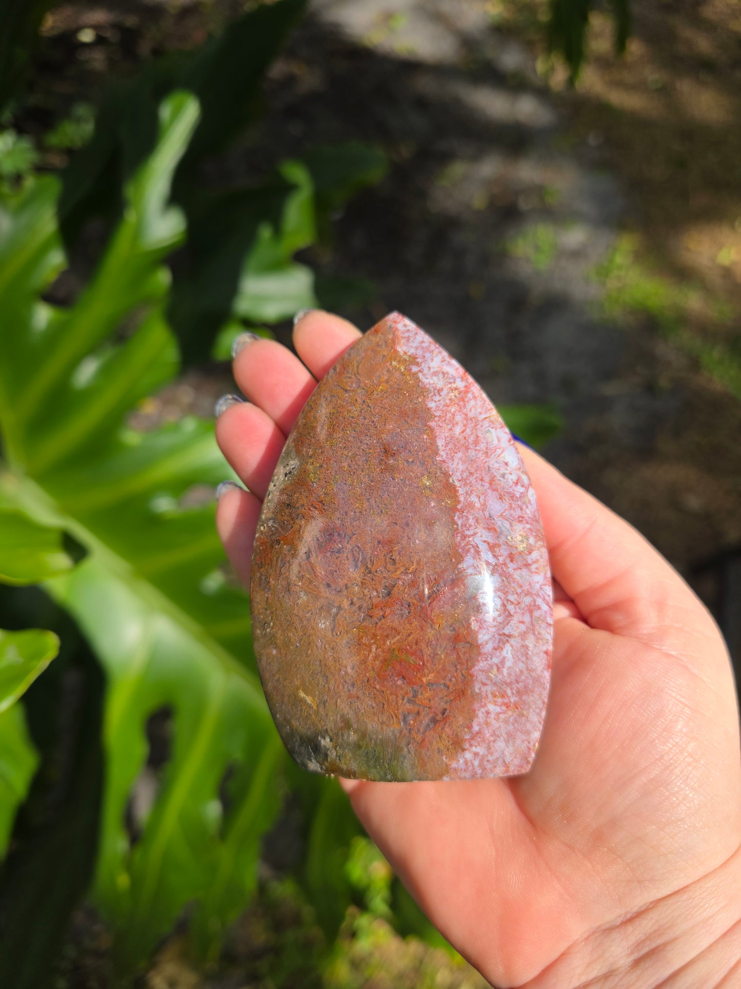 Veinless Ocean Jasper Teardrop • Option C • Madagascar