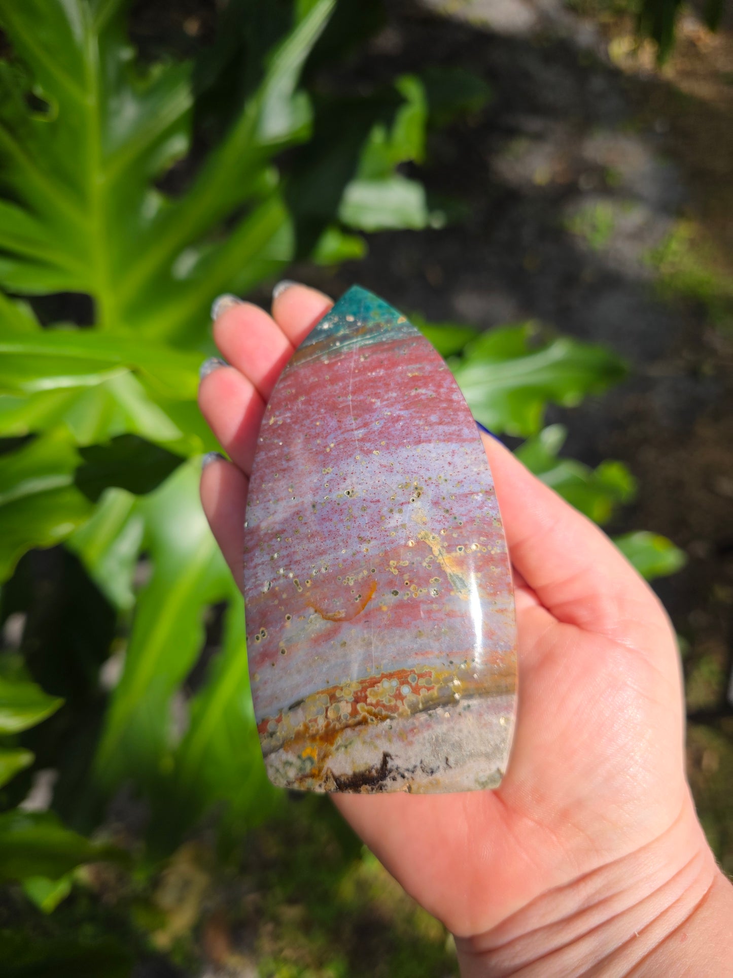 Veinless Ocean Jasper Teardrop • Option D • Madagascar