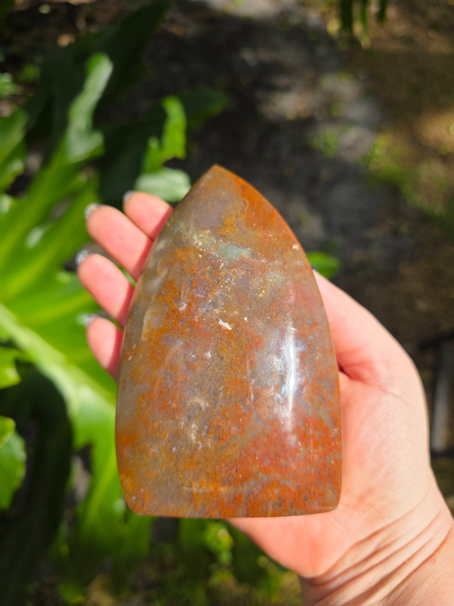Veinless Ocean Jasper Teardrop • Option E • Madagascar