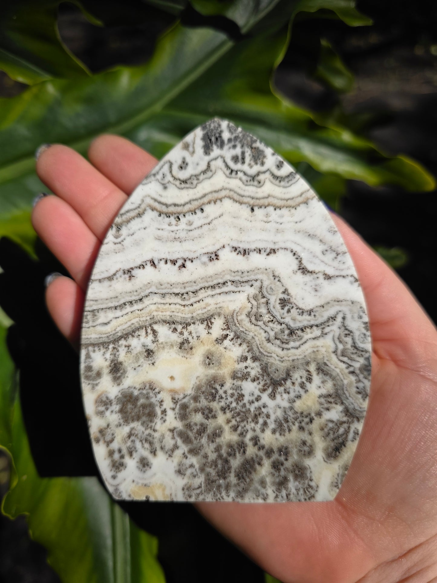 Dendritic Opal Teardrop • Option B • China