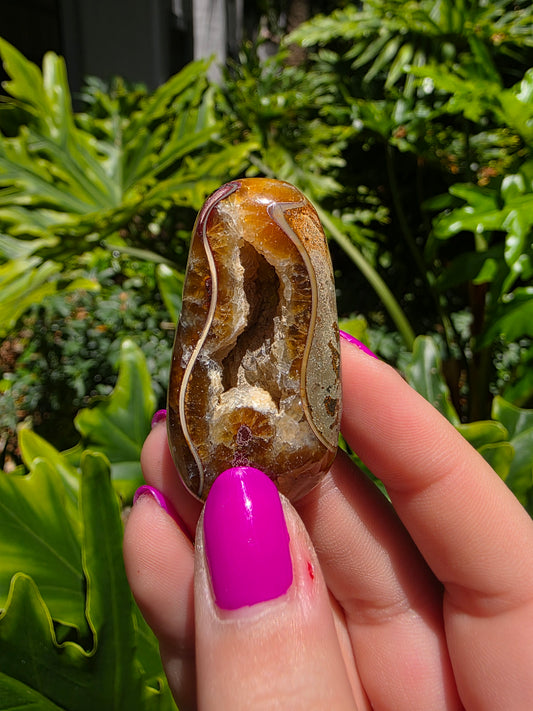 Ammonite & Septarian Palm Stone • Option C
