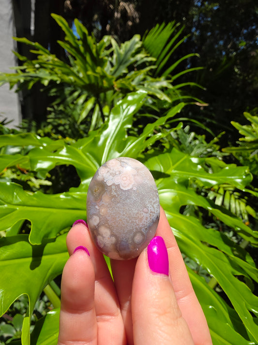 Flower Agate Palm Stone • Option C • China