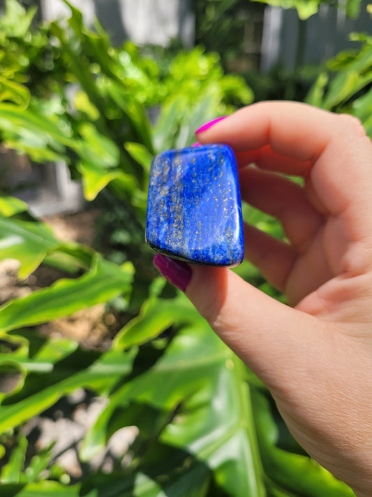 Lapis Lazuli Freeform • Option B • Pakistan
