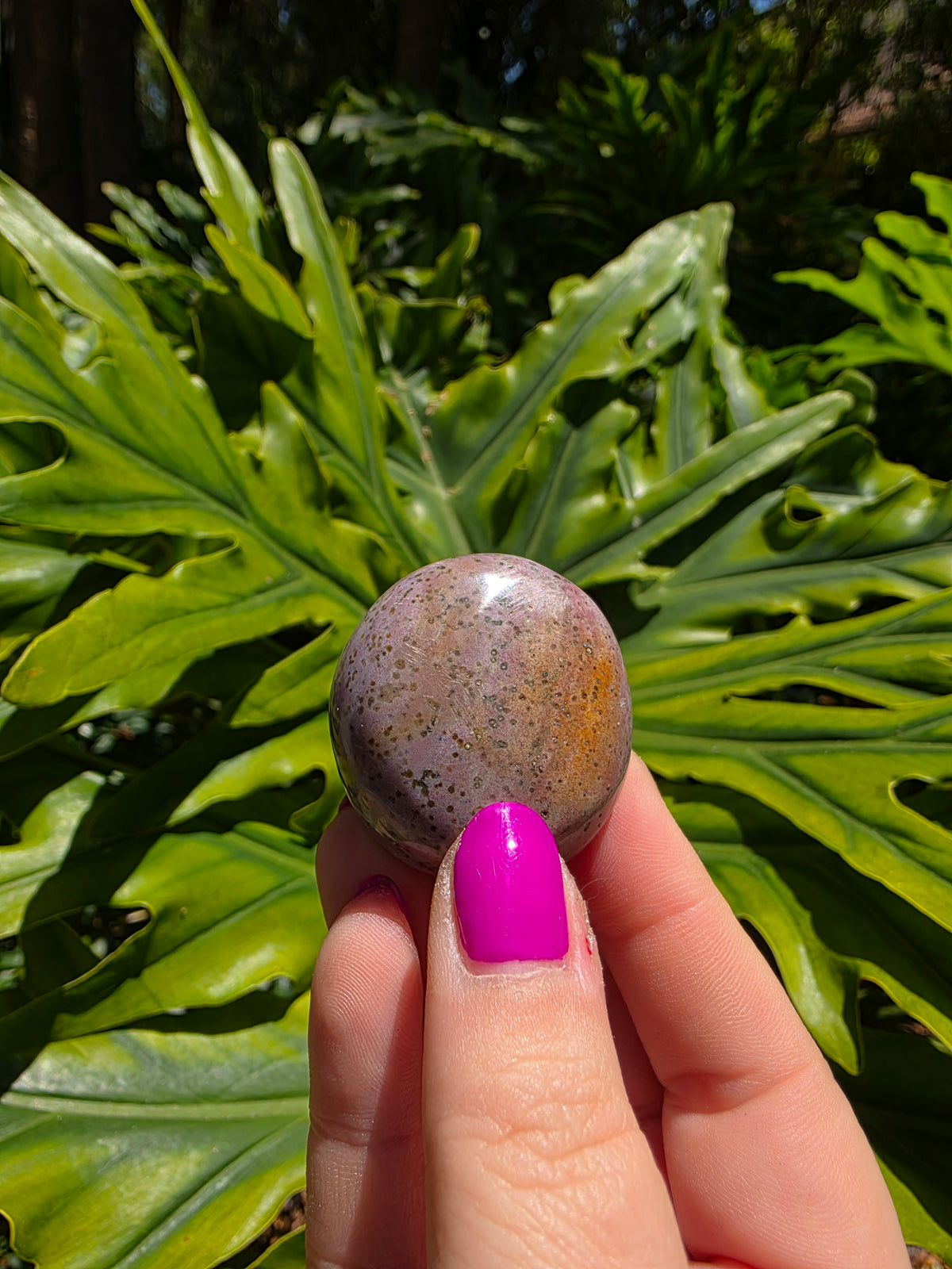 Ocean Jasper Palm Stone • Option A