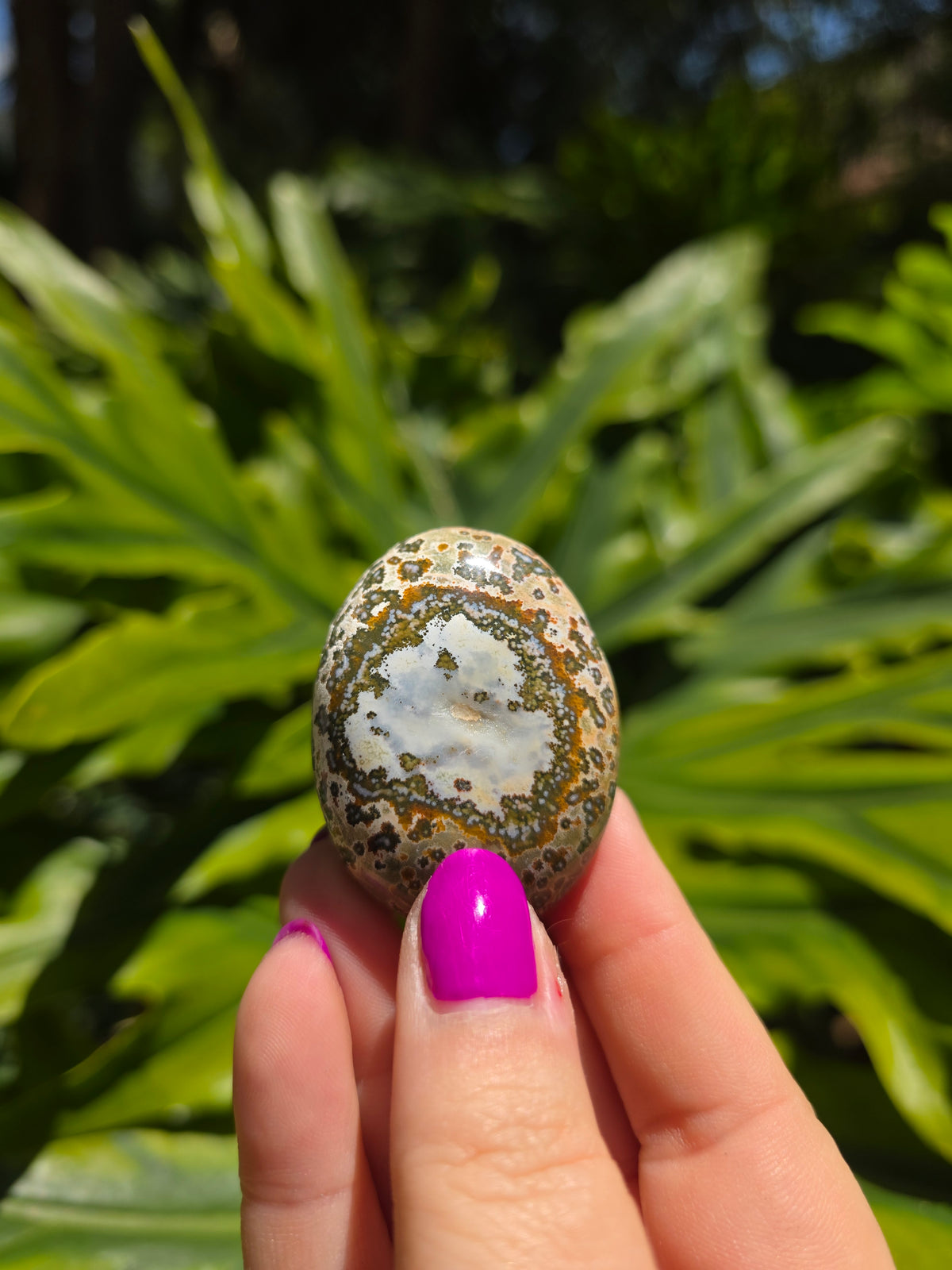 Ocean Jasper Palm Stone • Option B