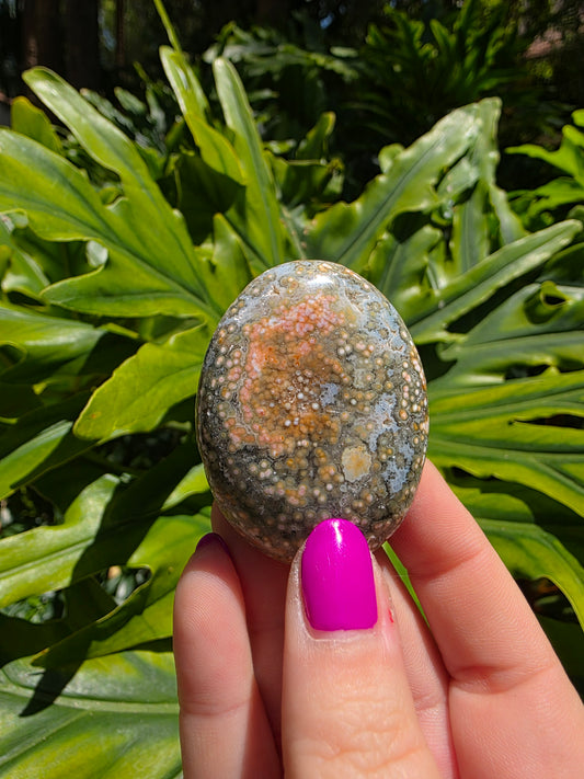 Ocean Jasper Palm Stone • Option C