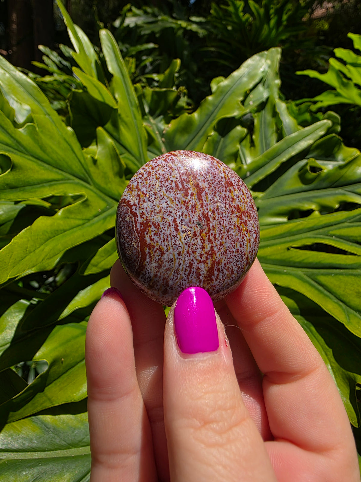 Ocean Jasper Palm Stone • Option D