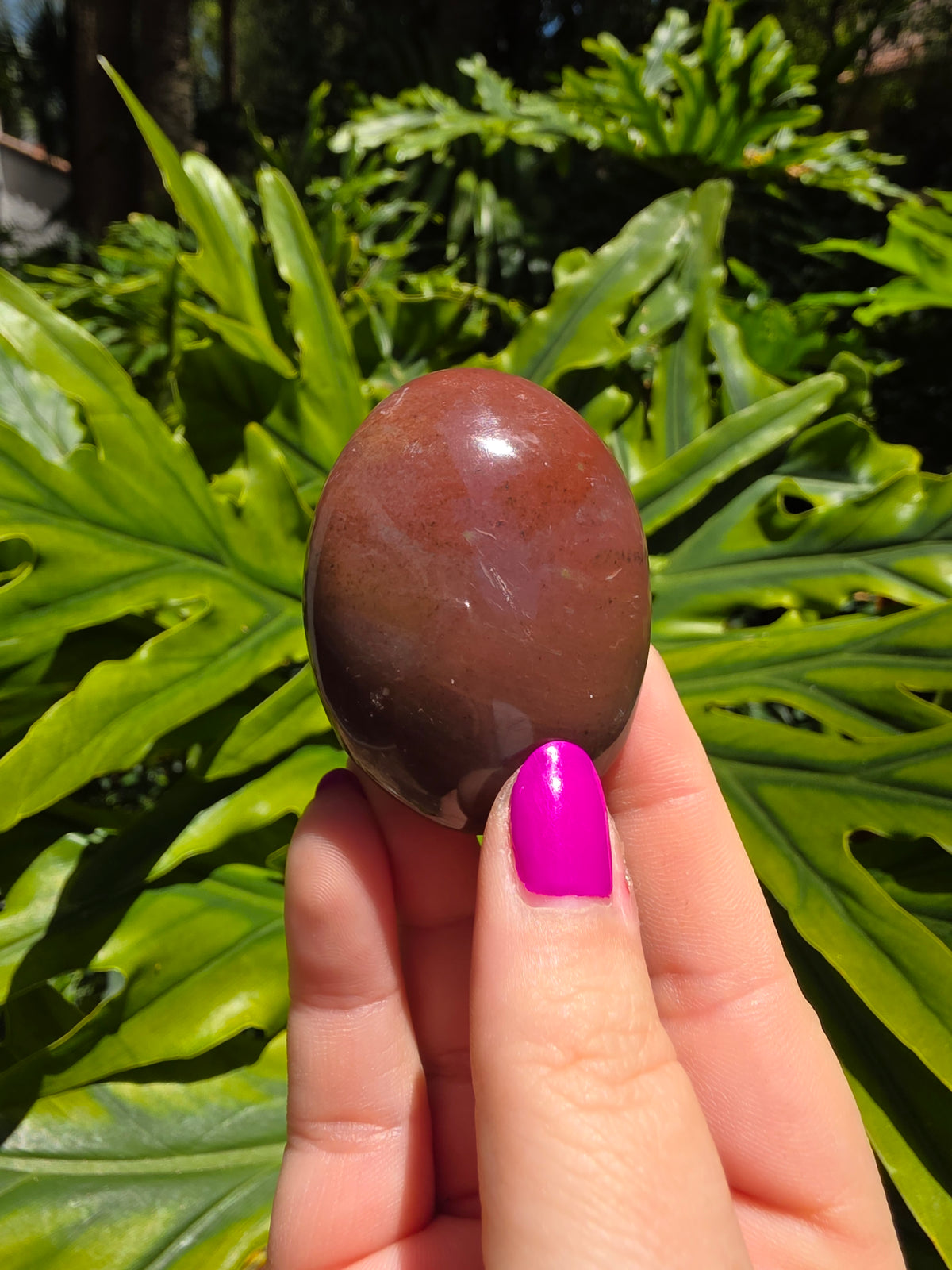 Ocean Jasper Palm Stone • Option EE