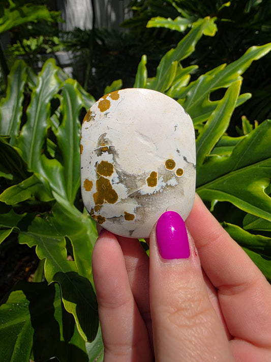 Ocean Jasper Palm Stone • Earthy Tones • Option B