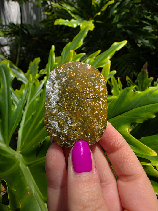 Ocean Jasper Palm Stone • Earthy Tones • Option D