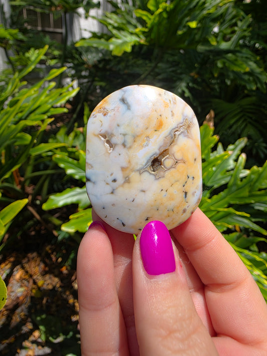 Ocean Jasper Palm Stone • Earthy Tones • Option M