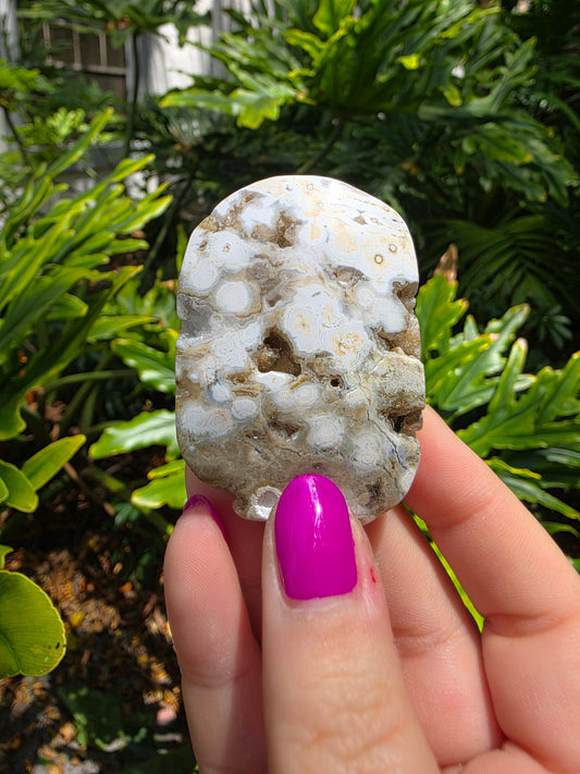 Ocean Jasper Palm Stone • Earthy Tones • Option N