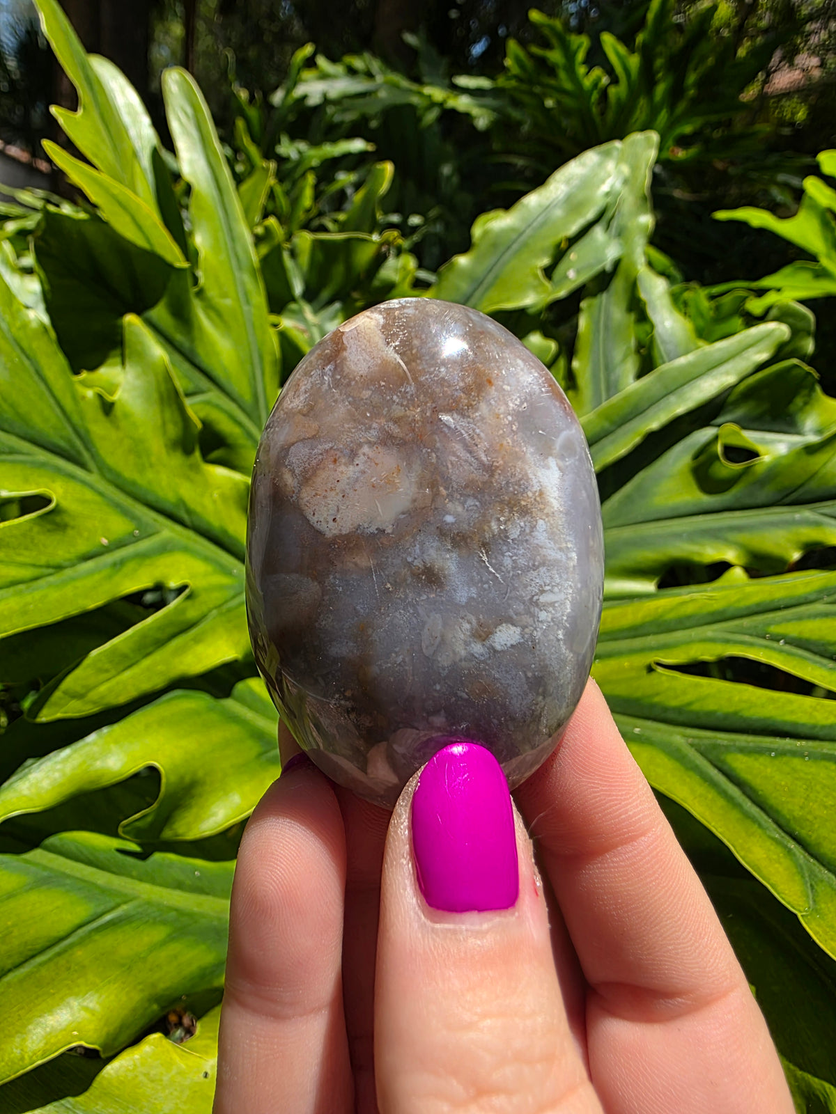 Ocean Jasper Palm Stone • Option G