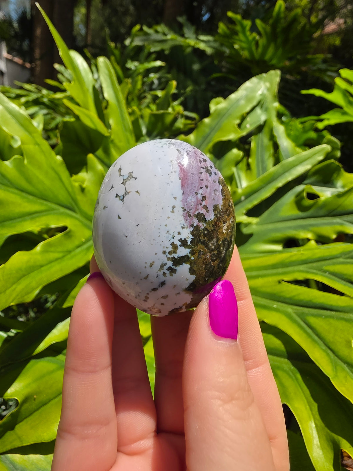 Ocean Jasper Palm Stone • Option L