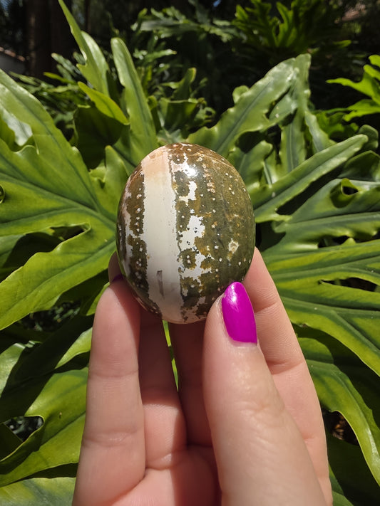 Ocean Jasper Palm Stone • Option M