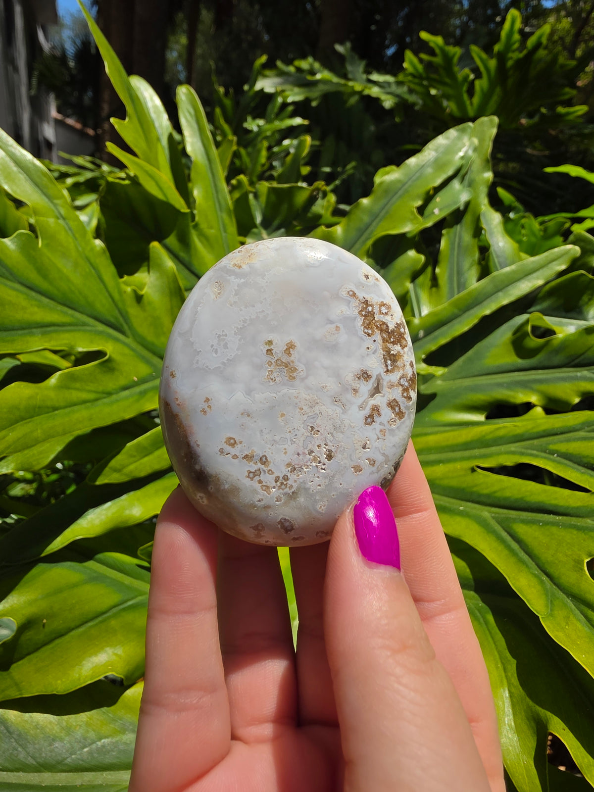 Ocean Jasper Palm Stone • Option P