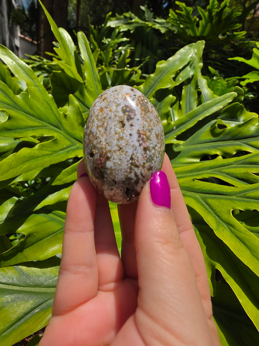 Ocean Jasper Palm Stone • Option Q