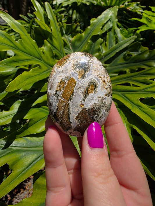 Ocean Jasper Palm Stone • Option S