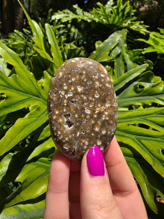 Ocean Jasper Palm Stone • Option Y