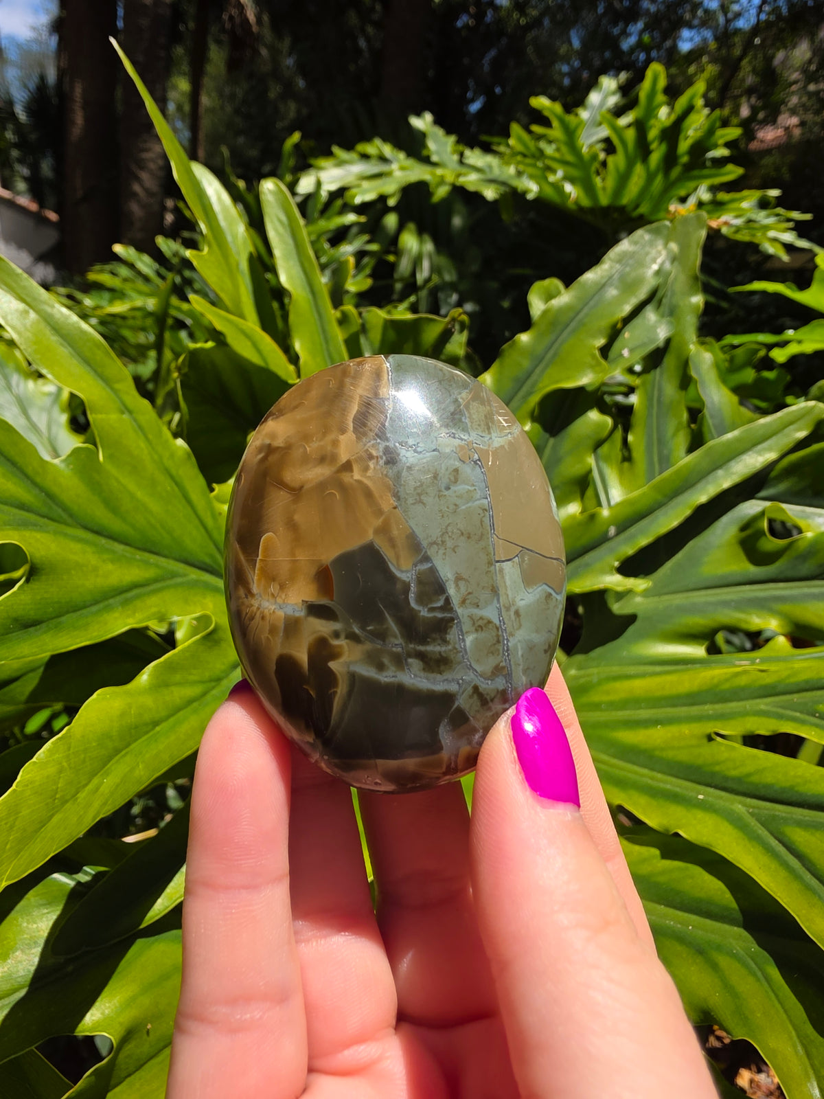 Ocean Jasper Palm Stone • Option Z
