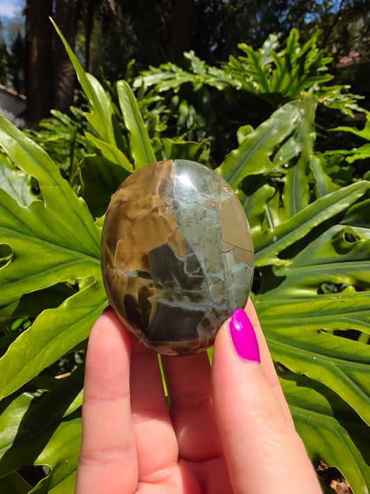 Ocean Jasper Palm Stone • Option Z