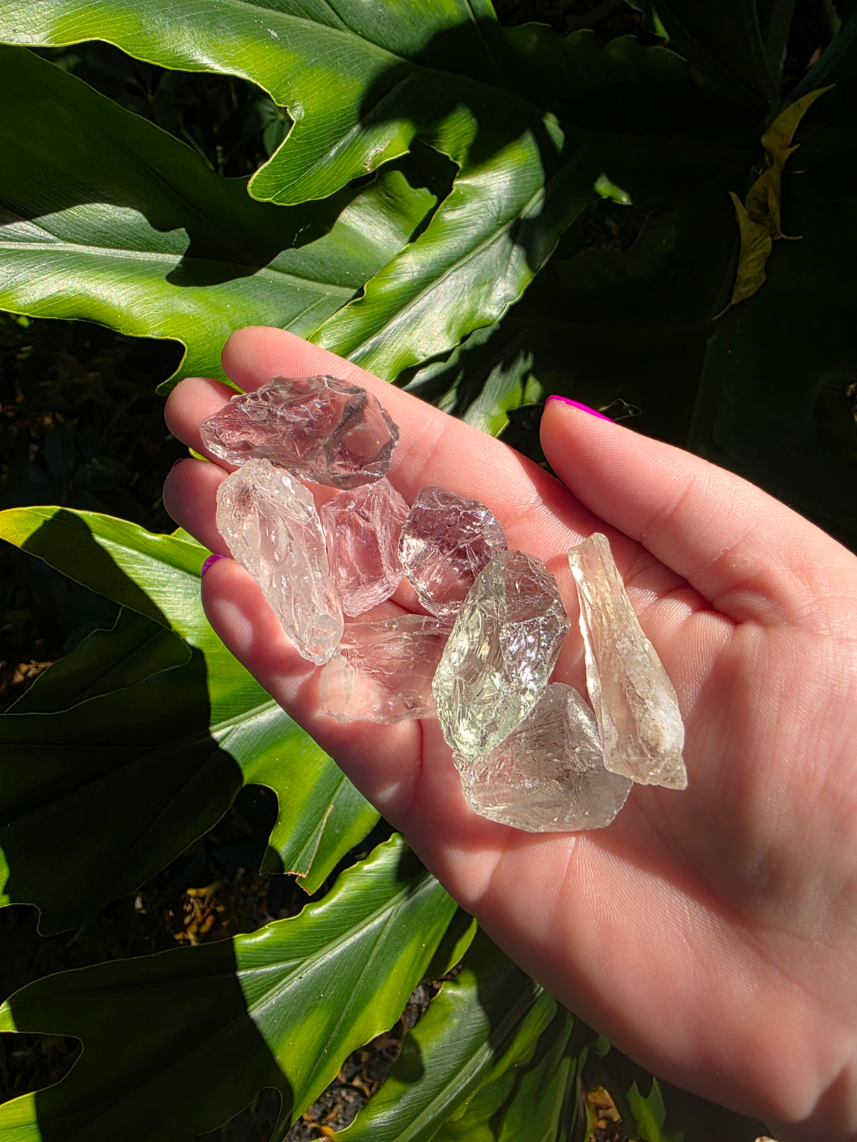 Prasiolite Tumbles • Brazil • Small