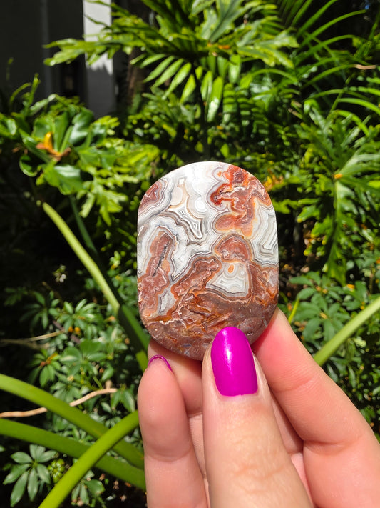 Red Crazy Lace Agate Palm Stone • Option BB