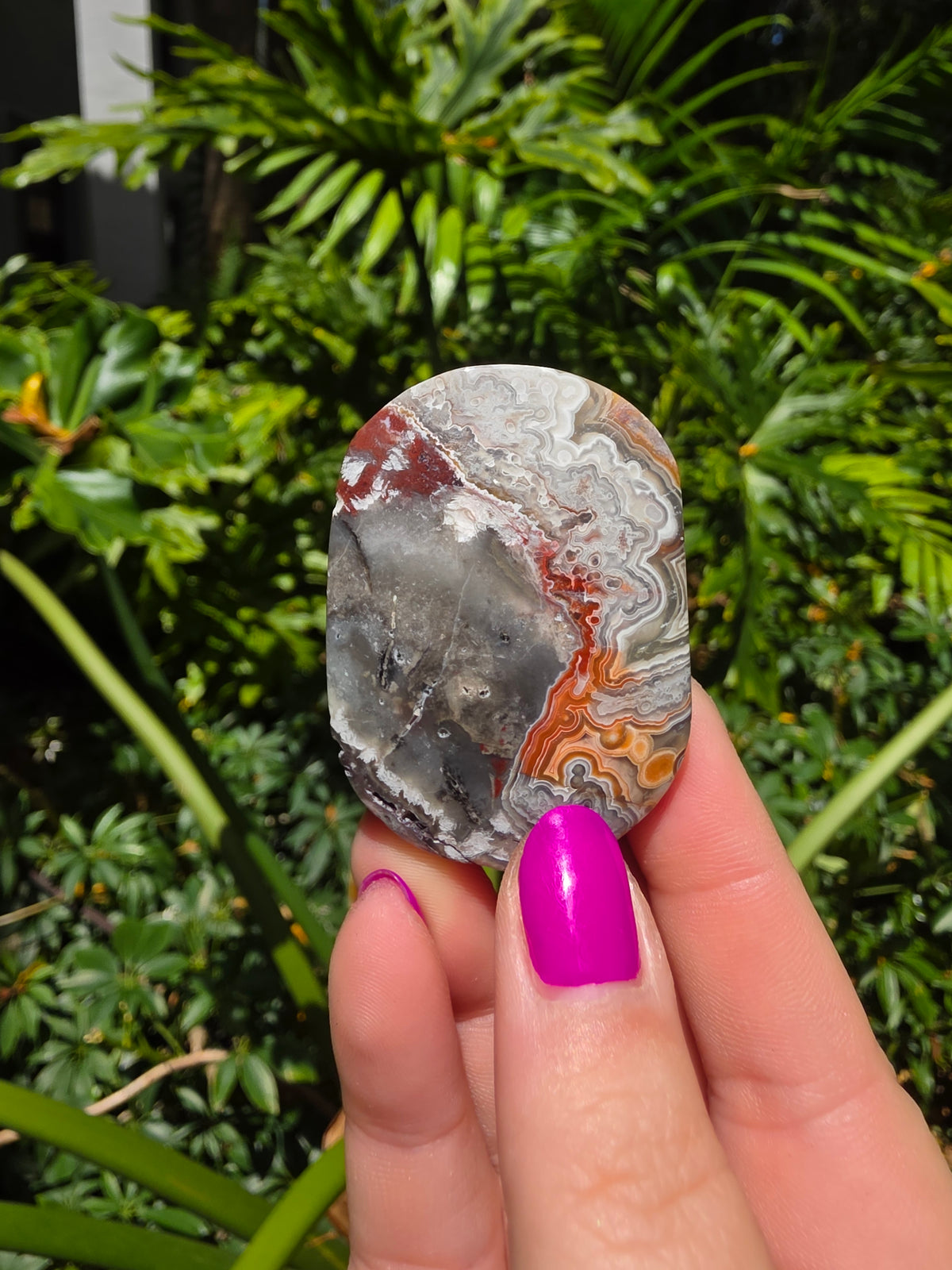 Red Crazy Lace Agate Palm Stone • Option CC