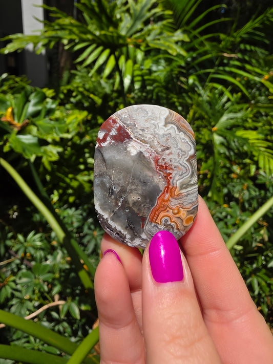 Red Crazy Lace Agate Palm Stone • Option CC