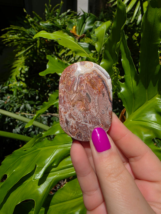 Red Crazy Lace Agate Palm Stone • Option D