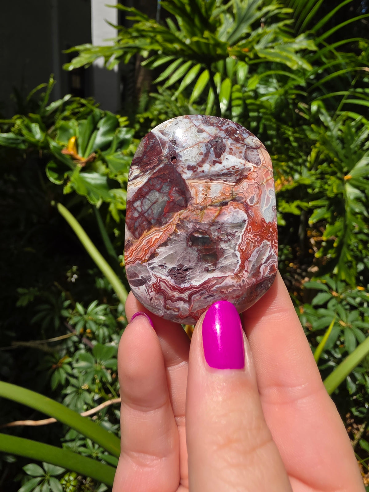 Red Crazy Lace Agate Palm Stone • Option EE