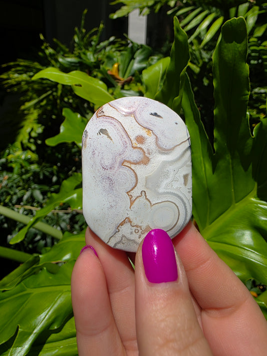 Red Crazy Lace Agate Palm Stone • Option G
