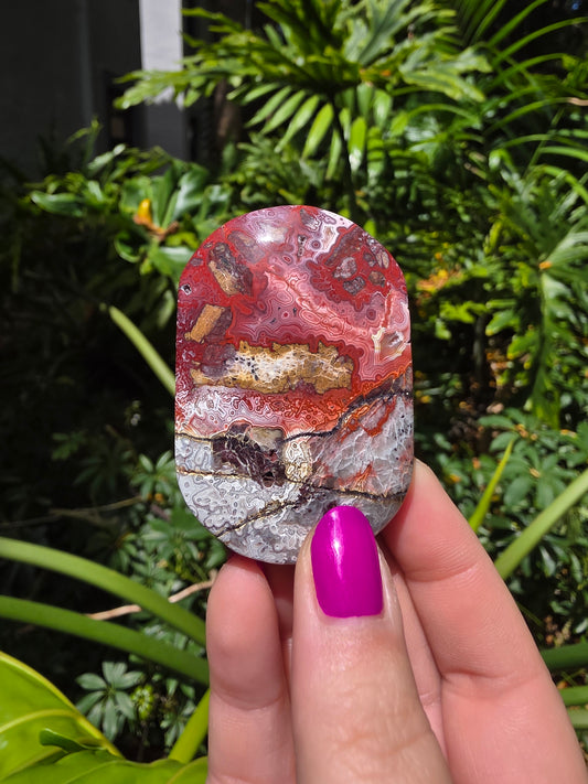 Red Crazy Lace Agate Palm Stone • Option GG
